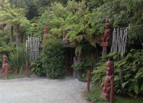 te pā tū (previously tamaki maori village)|Top Ranking Tamaki Māori Village .